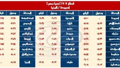 تشغيل قطارات خدمة جديدة بين "القاهرة ـ نجع حمادى" والعكس من الأحد القادم