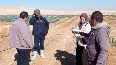 التركيز على متابعة زراعات الفول، القمح، الشعير، وأشجار الزيتون.