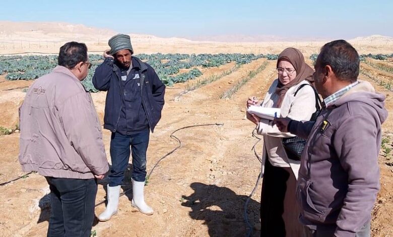 التركيز على متابعة زراعات الفول، القمح، الشعير، وأشجار الزيتون.