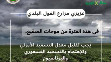 "معاك في الغيط" تنشر توصيات هامة لتجنب آثار الصقيع على زراعات القمح والفول
