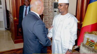 رئيس تشاد يستقبل نائب رئيس الوزراء للتنمية الصناعية وزير الصناعة والنقل المصري