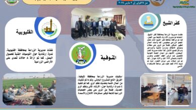 انفوجراف » |فى العدد رقم ١٨٧"الزراعة في كل مصر"