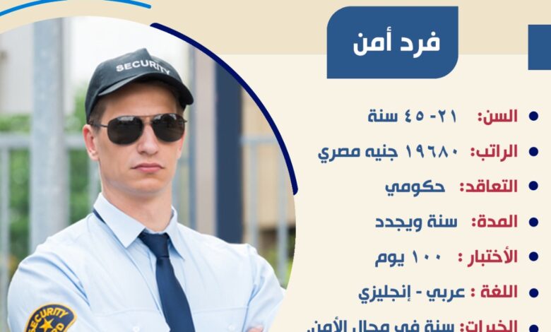 وزير العمل : 95 فرصة عمل والتقديم لمدة 3 أيام ..والراتب 19 ألف و680 جنيه شهريًا