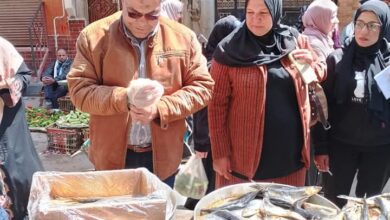 إعدام ٨١ عبوة جبنه منتهيه الصلاحيه و٣١ كيلو مصنعات لحوم بتلا
