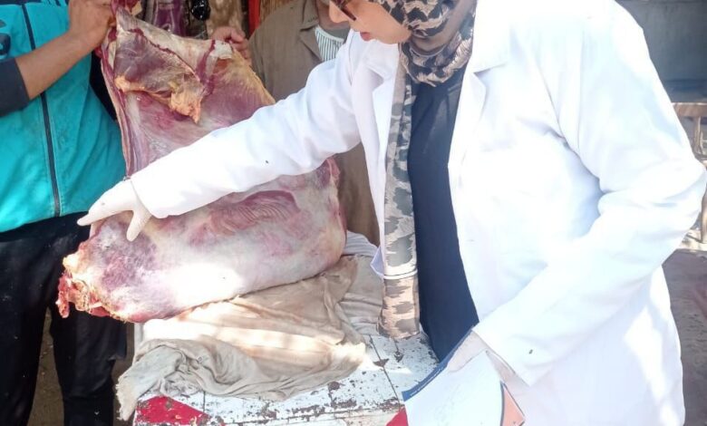 ضبط ١٦,35طن لحوم ودواجن وكبده وأسماك مدخنة بالشرقية