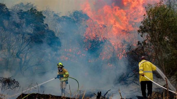 بسبب حرائق القدس :نقل 13 مصابًا فى الكيان الإسرائيلي حتى الآن إلى المستشفيات