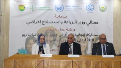 بحوث الصحراء : ورشة عمل حول دور المرأة المصرية في التآزر بين اتفاقيات ريو الثلاثة