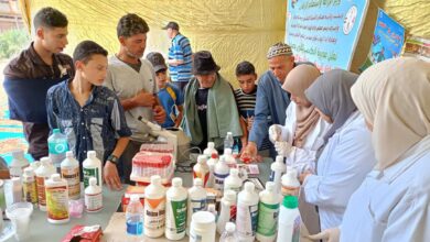 الزراعة" قوافل بيطرية مجانية لرعاية أكثر من 15 ألف رأس حيوان وطائر في 10 محافظات