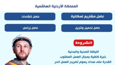 وزارة العمل:توفير فرص عمل في الأردن لعمال مصريين بقطاع تصريح العمل الحر