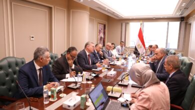 وزيرا البترول والكهرباء يناقشان خطة العمل المشترك