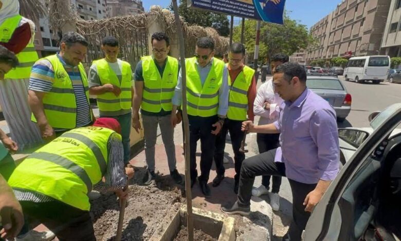زراعة 60 شجرة بونسيانا بكورنيش بحر مويس بمدينة الزقازيق