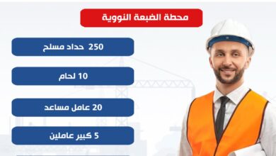 308 فرصة عمل