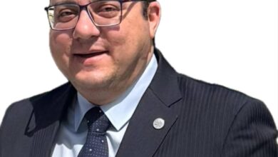 م. أحمد محمد فكري زلط