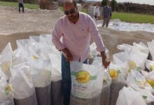 ضبط 4000 لتر سولار مهرب و160 طن أسمدة زراعية مغشوشة و8 طن دقيق مدعم بالجيزة