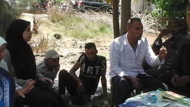 وزارة الزراعة : إزالة21 حالة تعدي على الأراضي الزراعية في 3 محافظات