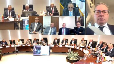 عموميتا بتروجت وانبي تشاركان في تمويل وتنفيذ مصنع حامض الفسفوريك بالوادي الجديد