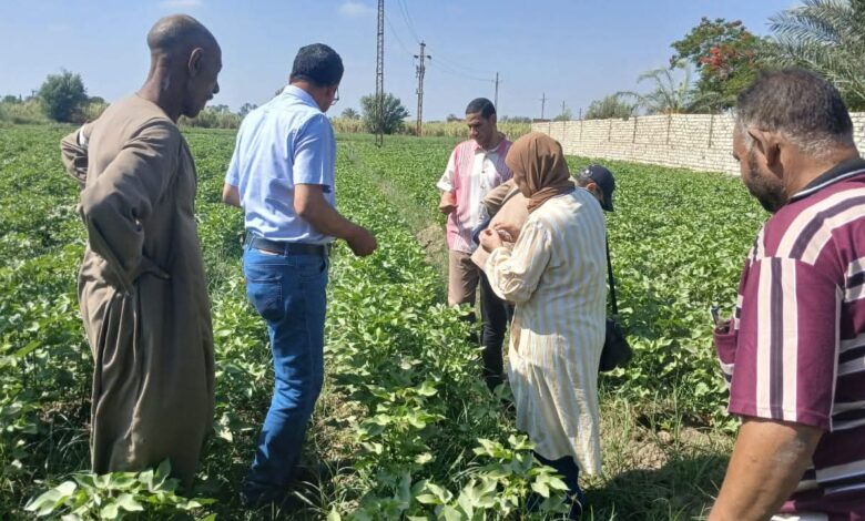 الزراعة" تنفذ أكثر من 2000 نشاط إرشادي متنوع لدعم أكثر من 51 ألف مزارع