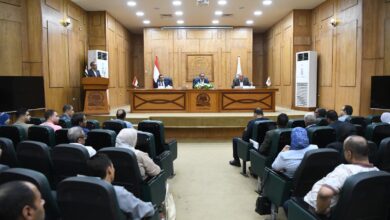 محافظ قنا يؤكد تيسيرات مستمرة دعم كامل لتحفيز الاستثمار