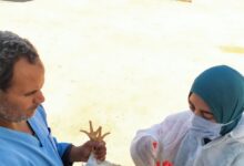 الزراعة" تواصل جهود الرصد والتقصي للامراض الوبائية بمزارع واسواق الدواجن