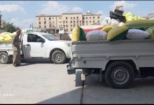 إنتظام العمل بمنظومة توريد القمح بالشرقية