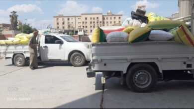 إنتظام العمل بمنظومة توريد القمح بالشرقية