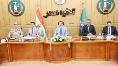 محافظ المنوفية يهنئ شعب المحافظة بعيد الأضحى والعيد القومي للمحافظة