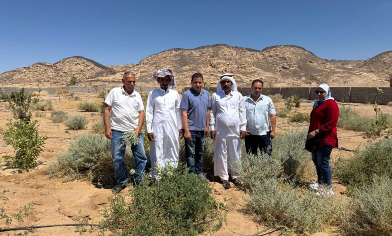 "بحوث الصحراء" يطلق المرحلة الثانية من مشروع التنمية الزراعية بجنوب سيناء