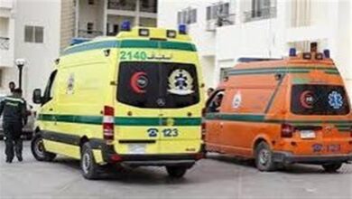 مصرع مزارع وابنه وإصابة جاره بطلق ناري على يد شقيقه بقرية المراشده فى قنا