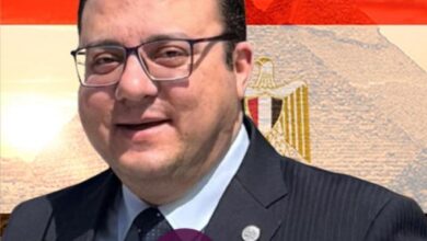إدارة الأزمات : العمود الفقري لتحقيق التنمية المستدامة/بقلم : م. أحمد محمد فكري زلط