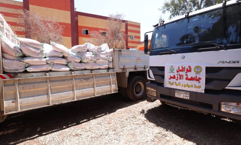 محافظ كفرالشيخ: توزيع 600 كرتونة غذائية و7 أطنان من السلع الأساسية للأسر الأولى بالرعاية بسنهور المدينة