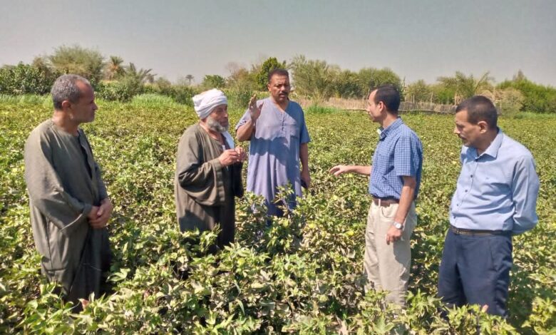 "البحوث الزراعية" ينفذ 1750 نشاطاً إرشادياً استفاد منها أكثر من 43 ألف مزارع