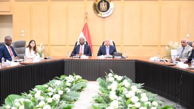 وزير الصناعة والنقل يعقد مباحثات مع نائب رئيس الوزراء ووزير التخطيط بالكونغو الديمقراطية
