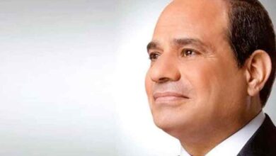 الرئيس السيسي: الدولة تتطلع لجذب المزيد من الاستثمارات الصينية في الطاقة الجديدة والسيارات الكهربائية
