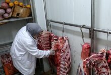"الزراعة" ضبط 120 طن لحوم غير صالحة للاستخدام الآدمي خلال يوليو