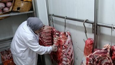 "الزراعة": ضبط 122 طنًا من اللحوم الفاسدة وتحرير 1,553 محضرًا خلال يونيو