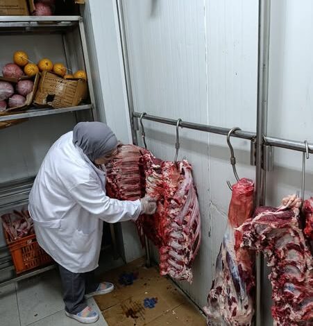 "الزراعة": ضبط 122 طنًا من اللحوم الفاسدة وتحرير 1,553 محضرًا خلال يونيو