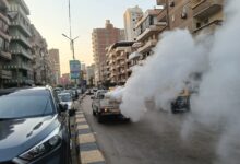بتكليفات محافظ كفرالشيخ :مكافحة أمراض الصيف و الحشرات الطائرة بالمدن والقرى