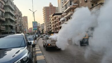 بتكليفات محافظ كفرالشيخ :مكافحة أمراض الصيف و الحشرات الطائرة بالمدن والقرى