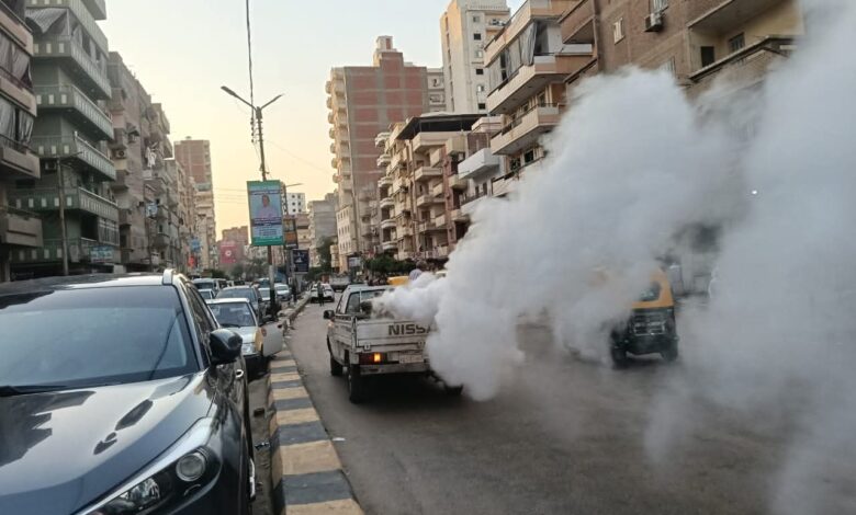 بتكليفات محافظ كفرالشيخ :مكافحة أمراض الصيف و الحشرات الطائرة بالمدن والقرى