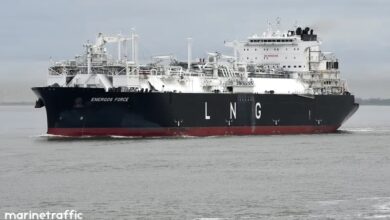 وزارة البترول تؤمن إمدادات الغاز لجميع القطاعات بأربع سفن تغييز