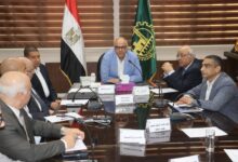 محافظ القليوبية يترأس اجتماع مجلس الصحة الإقليمي لتطوير الخدمات الطبية