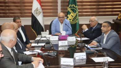 محافظ القليوبية يترأس اجتماع مجلس الصحة الإقليمي لتطوير الخدمات الطبية