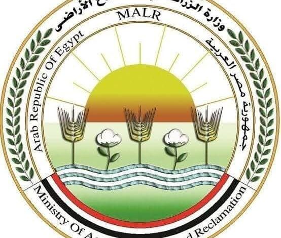 الزراعة": موافقة الاتحاد الأوروبي على تيسير إجراءات تصدير البطاطس المصرية إليها