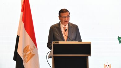 الوزيران