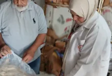 ضبط ٣,5 طن لحوم ومصنعات لحوم و دواجن و أسماك مجهولة