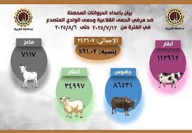 اللواء أشرف الجندي، محافظ الغربية،
