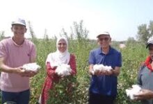 وزير الزراعة يشيد بجهود علماء وخبراء مركز البحوث الزراعي.. البحث العلمي قاطرة التنمية الزراعية