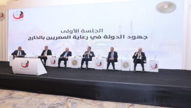 وزير العمل أمام "مؤتمر المصريين بالخارج"-صدور قانون العمل يُحقق الأمان الوظيفي للعمال