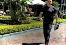 علي ماهر أبرز الرشحين لخلافة الاسبانى ريبيرو