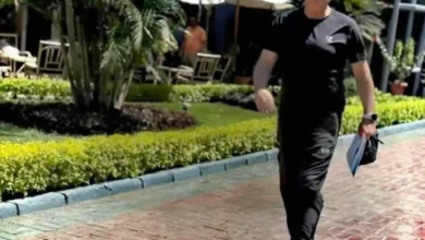 علي ماهر أبرز الرشحين لخلافة الاسبانى ريبيرو